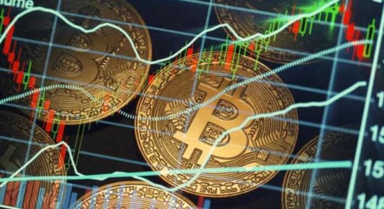 维卡币2025年交易权限分析