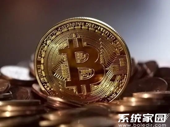 OSMO收益管理系统