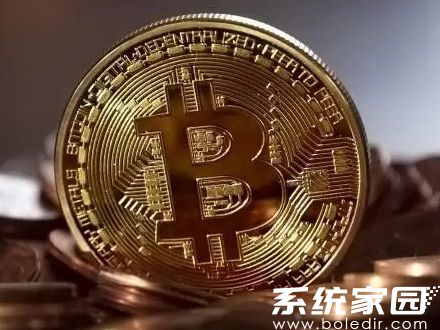 zecu94b1u5305u6700u65b0u7248u4e0bu8f7d