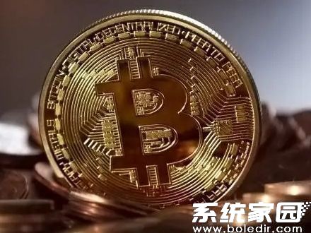 区块链资产管理界面