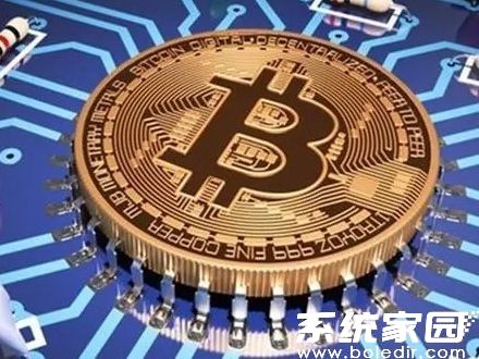 波币钱包下载