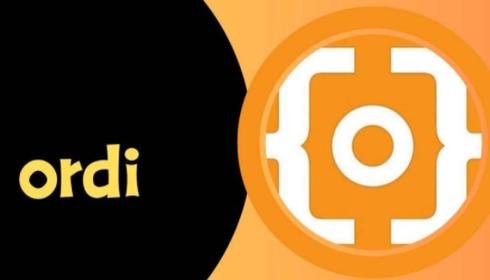 ORGI币最新动态解析 ORGI币发展前景展望