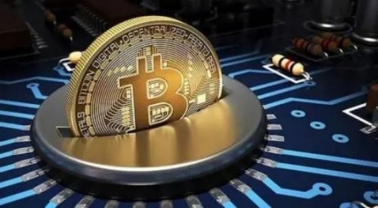 维卡币2025年8月新动向 维卡币官方动态深度解析