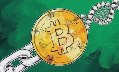 多维度安全防护