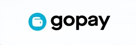 GoPay钱包客服服务异常示意图