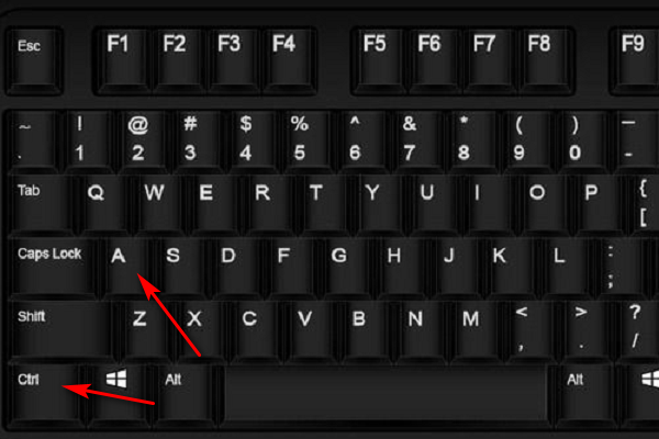 Excel全选快捷键操作指南与实用技巧