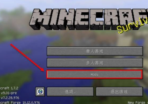 版本选择界面示意图