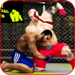 武术笼战王全免费动作格斗手游