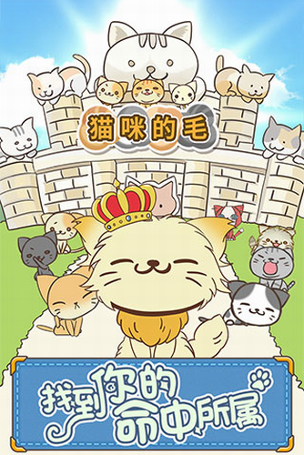 猫咪互动场景