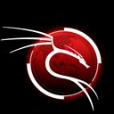 BackTrack3便携Linux系统安全检测工具下载