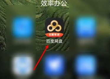 应用主界面示意图