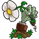 植物大战僵尸LZ重制版经典塔防升级v1.3.6.1 无限阳光版
