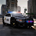 警车模拟器2023真实驾驶开放世界v1.0.9 免费版
