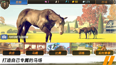 u5bb6u65cfu4f20u5947u9a6cu5339u517bu6210u7adeu6280u5185u8d2du7248