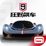 狂野飙车9极速版全资源解锁v4.1.0r 无限点卷版
