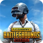 PUBG2024中文正式版开放下载