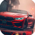 真实驾驶全车辆解锁畅玩版