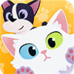 哈啰萌宠开心屋温馨宠物家园打造