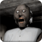 恐怖老奶奶全物品解锁版本