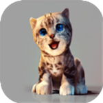 真实小猫3D模拟器自由探索版