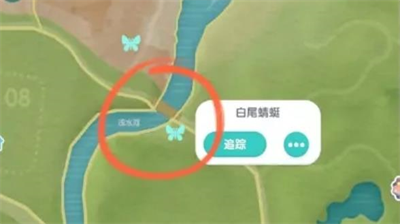 心动小镇白尾蜻蜓刷新位置与捕捉技巧