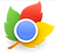 枫树浏览器高效安全上网首选