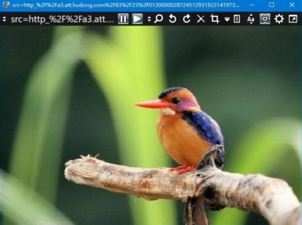 Xlideit Image Viewer(u56feu50cfu67e5u770bu5668) 