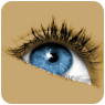 医学影像DICOM浏览器专业版核心功能医学影像浏览器Sante DICOM Viewer Pro v15.2.8 绿色版