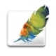 Adobe Photoshop CS3图像处理工具功能