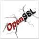 OpenSSL安全通信库新版功能详解v3.4.0