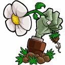 植物大战僵尸年度版五大亮点