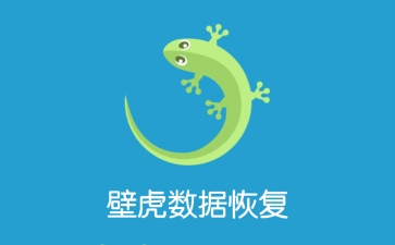 壁虎数据恢复